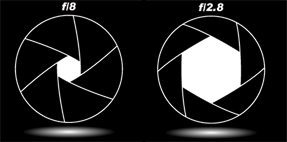 Macro Photography Tip #1 - The aperture you use affects your shutter speed