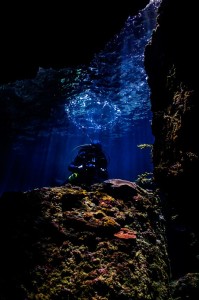 Underwater - Diving