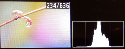 Histogram on the camera