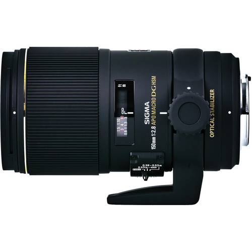 Sigma 150mm Macro Lens Review