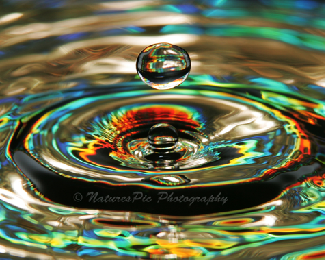 Simple Water Drop Photography 1