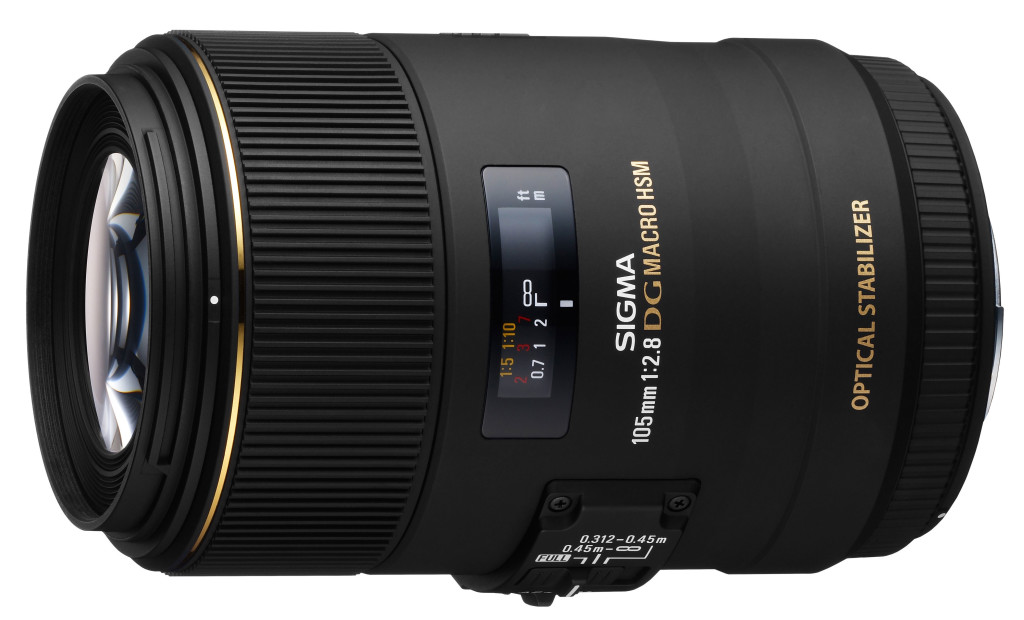 Macro Lens Review: The Sigma 105mm Macro Lens - Seeing in Macro